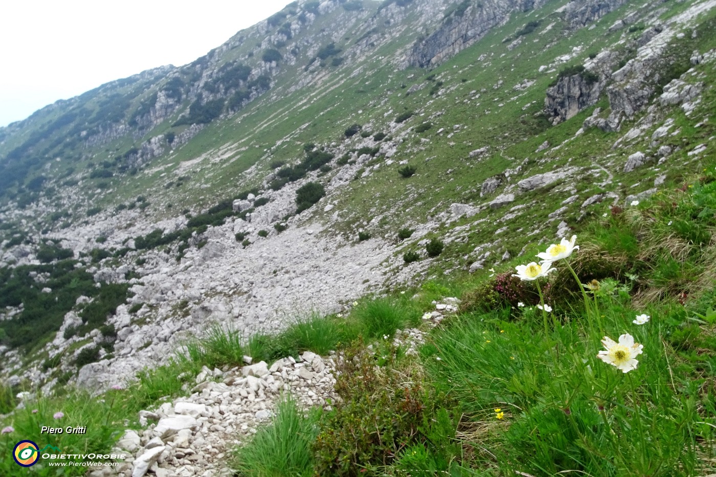 76 Il 101 corre sui fianchi della Corna Grande.JPG